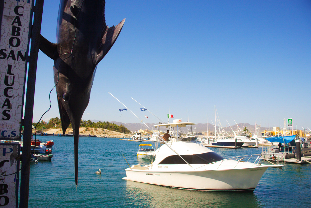 fishing-charters-cabo