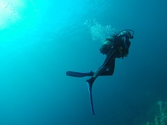 Cabo Scuba Diving